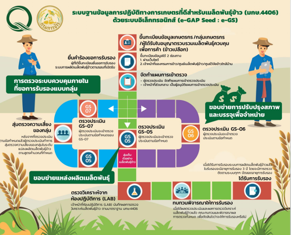 ข้าว