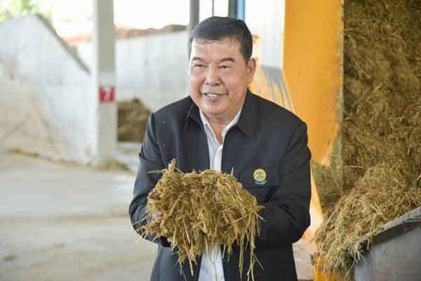 กรมปศุสัตว์