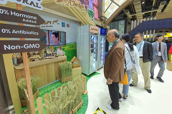 CIIE 2019