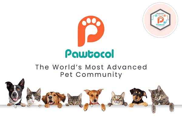 Pawtocol
