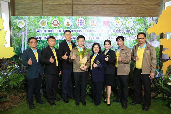 กองทุนต้นไม้