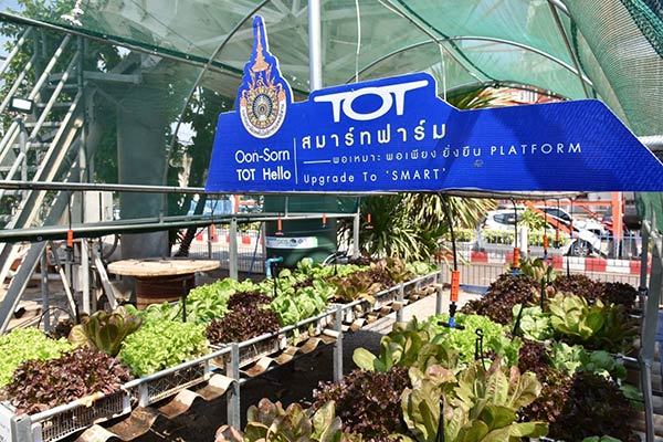 ทีโอที