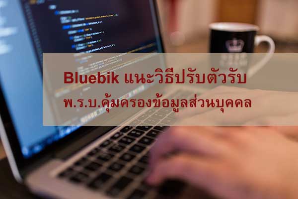 Bluebik