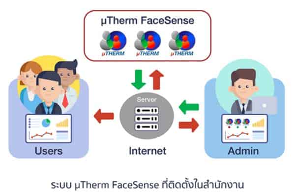 มิวเทอร์ม เฟสเซนซ์