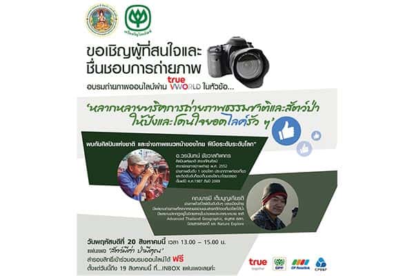 กลุ่มทรู