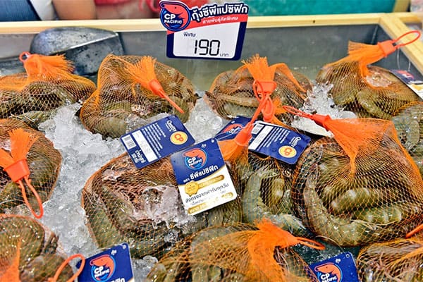shrimp