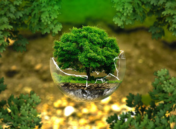 IUCN