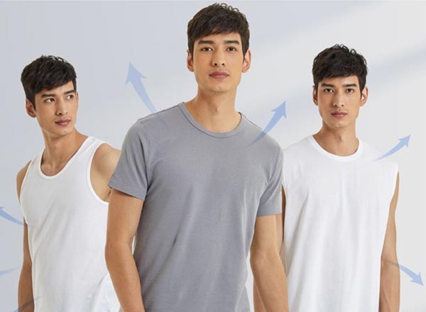 ห่านคู่