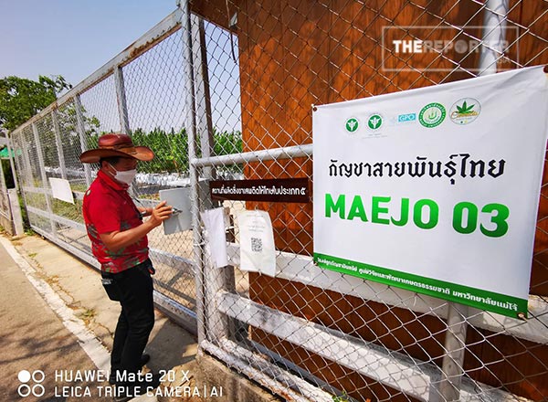 แม่โจ้