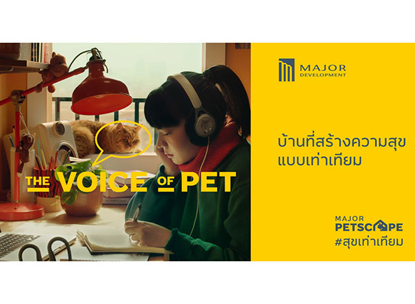 เมเจอร์ ดีเวลลอปเม้นท์