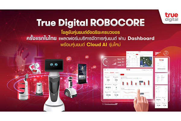 ทรู ดิจิทัล โซลูชันส์