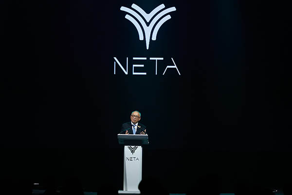 NETA V