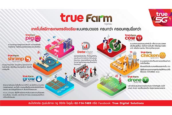 ทรู ดิจิทัล
