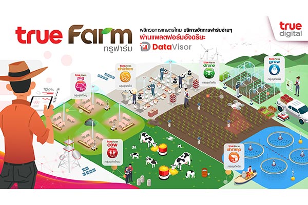 ทรู ดิจิทัล