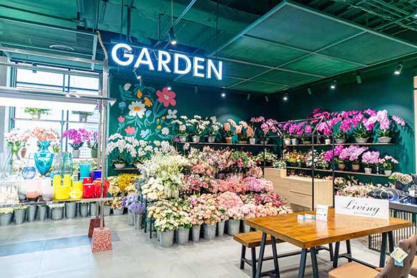 ห้างเซ็นทรัลลาดพร้าว
