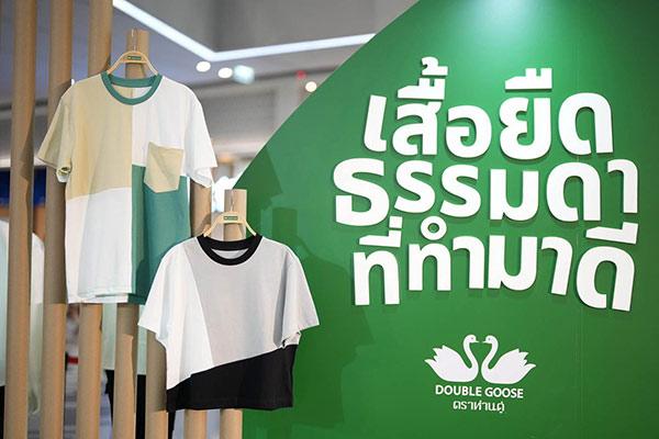 ห่านคู่