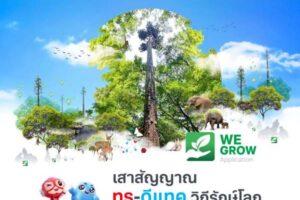 ทรู-ดีแทค